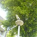 Favourite spot for Heron in Amsterdam city