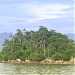 Ilha do Socó ou Socó do Martins - Baía de Sepetiba - Itaguaí - Rio de Janeiro (pt) in Itaguaí city