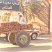 حديقة البلدية في ميدنة شندي 
