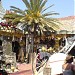 Antique Shop (en) dans la ville de Houmt souk