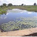 Perunthottam Lake