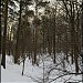 Пойма притока Попова ручья с отвершком (ru) in Moscow city