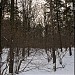 Пойма притока Попова ручья с отвершком (ru) in Moscow city