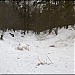 Пойма притока Попова ручья с отвершком (ru) in Moscow city