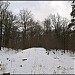Пойма притока Попова ручья с отвершком (ru) in Moscow city