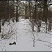 Пойма притока Попова ручья с отвершком (ru) in Moscow city