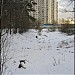 Северная часть пруда Дунай в городе Москва