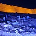 Cmentarz (pl) في ميدنة المهدية 