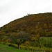 Leopoldsberg 425 m in Vienna city