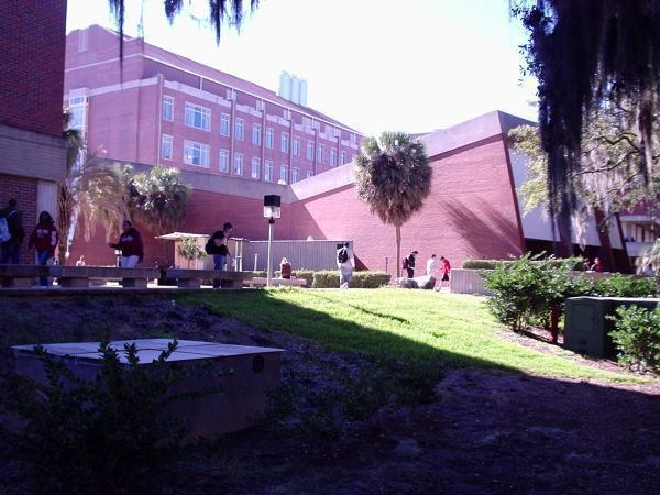florida state university chemistry