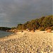 Plaža 