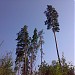 Тропа Здоровья в городе Тольятти