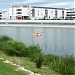 Lac de la Sole dans la ville de La Rochelle
