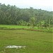 THOZANNOOR  STADIUM in Kalpakanchery city