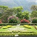 Calendário Floral na Poços de Caldas city