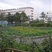 Сквер Воронова в городе Магадан