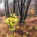Парк в городе Гродно