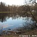 Большой (Нижний) Старомарковский пруд в городе Москва