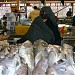 Fish Market in Bandar Abbas city
