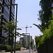 Avenida Miro Quesada en la ciudad de Lima