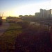Bow Creek Ecology Park in London city