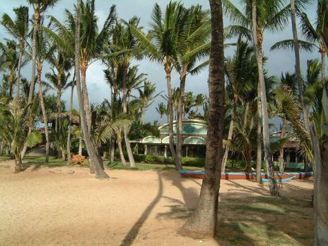 Mama S Fish House Kuau Cove Paia Hi