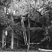 Site of Fleet's Grist Mill in Oyster Bay Cove, New York city