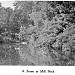 Ruins of the Old Mill at Mill Neck in Mill Neck, New York city