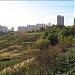 Гора Петровка (ru) in Moscow city