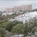 Здесь располагалась деревня Петрово в городе Москва
