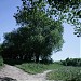 Здесь находилась деревня Алёшкино в городе Москва