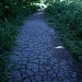 Здесь находилась деревня Алёшкино в городе Москва