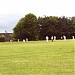 Ilton Cricket Club in Ilton city