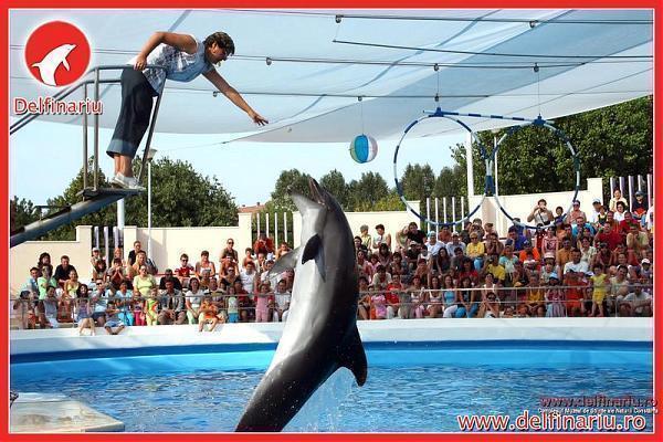 Delfinariu Constanța
