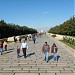 Lions' Avenue in Ankara Metropolitan Municipality city