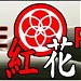 Wing Tsun WingTsun kung fu arti marziali FioreRosso in Cagliari city