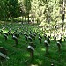 Антакальнисское кладбище в городе Вильнюс