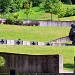 Антакальнисское кладбище в городе Вильнюс