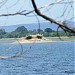 Island Garden