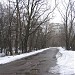 Сохранившаяся трасса Пионерской ул. (ru) in Moscow city