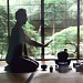 John P. Humes Japanese Stroll Garden in Mill Neck, New York city