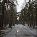 Парк «Двенадцати лучей» (парк «Часы») Кузьминского лесопарка в городе Москва
