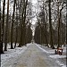 Парк «Двенадцати лучей» (парк «Часы») Кузьминского лесопарка в городе Москва