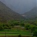alazezah........ العـزيــزة في ميدنة أبها 