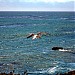 Natural Bridges State Beach in Santa Cruz, California city