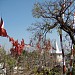 Shri Sharda-Devi Temple in Jabalpur city