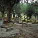 Pet cemetery in Dnipro city