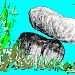 Balancing Rock Enclosure in Jabalpur city