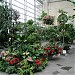 United States Botanic Garden (Conservatory)