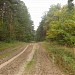 Дорога для испытаний танков в городе Киев